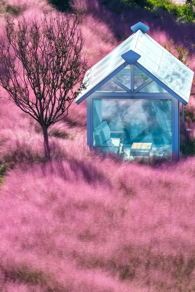 心动！宿城又涨“粉”了