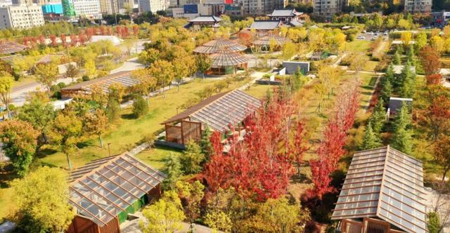 【美丽瀍河】瀍河这份秋季浪漫藏不住了!错过再等一年...