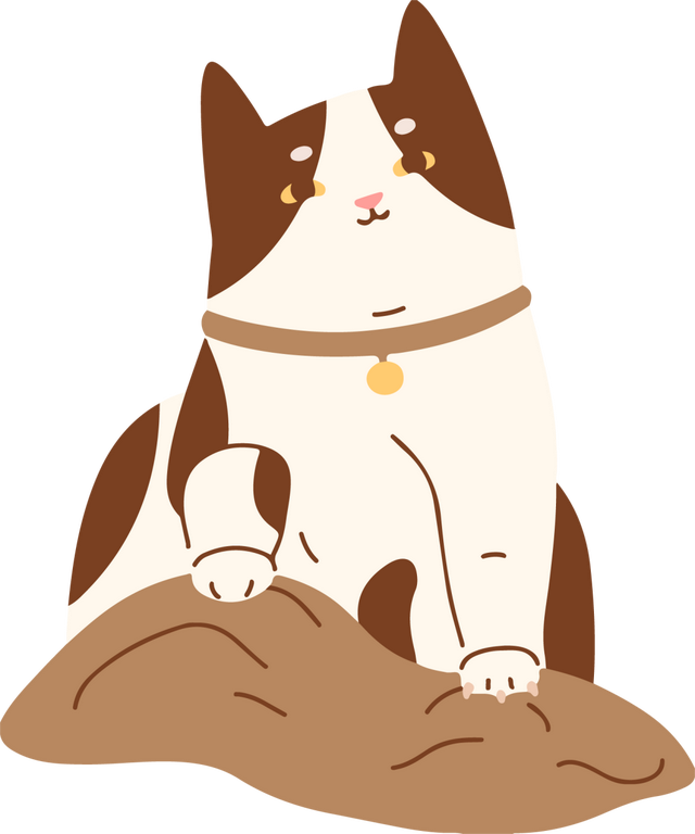 南宁冬日顶流变色了，这几个地方的落羽杉美到失语→