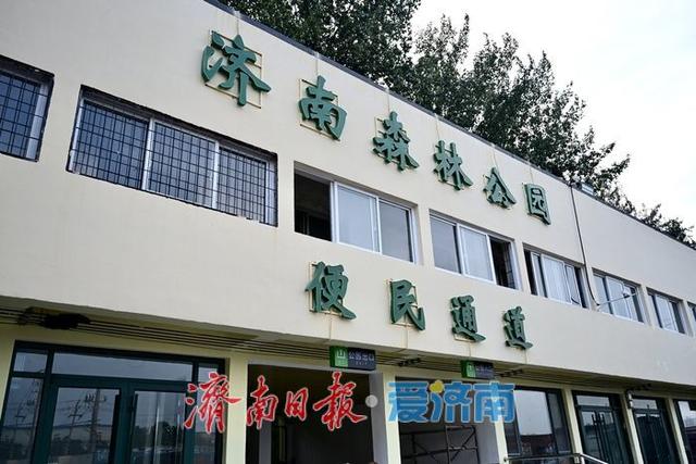 济南森林公园东门建设进入冲刺阶段