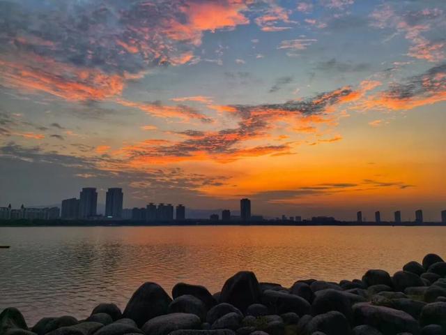 藏不住了！看一眼就“沦陷”！