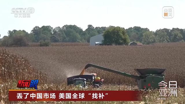 “中国一粒都没买”！大豆滞销，美国农民卖设备维持生计，“对特朗普的忠诚将接受考验”！特朗普满世界找买家，美协会急了：赶紧和中国谈