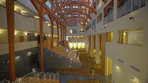 复兴公园“雨滴长廊”有后续：公园落叶已铺在上海交大这栋楼