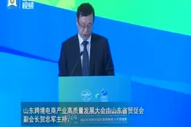 2024山东跨境电商产业高质量发展大会暨山东自贸试验区跨境电商人才双选会成功举办图片