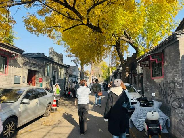 胡同不一“Young” | 北锣鼓巷：白蜡树下的北平之秋