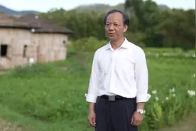 深读｜抢投“信心票”，中山乡村为什么火了？图片