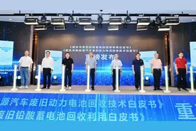 助力建设“无废城市” 重庆市废旧电池产业协会在沙坪坝区成立图片