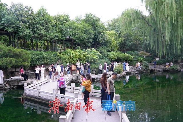 秋雨润泉！济南“泉水游”持续在线