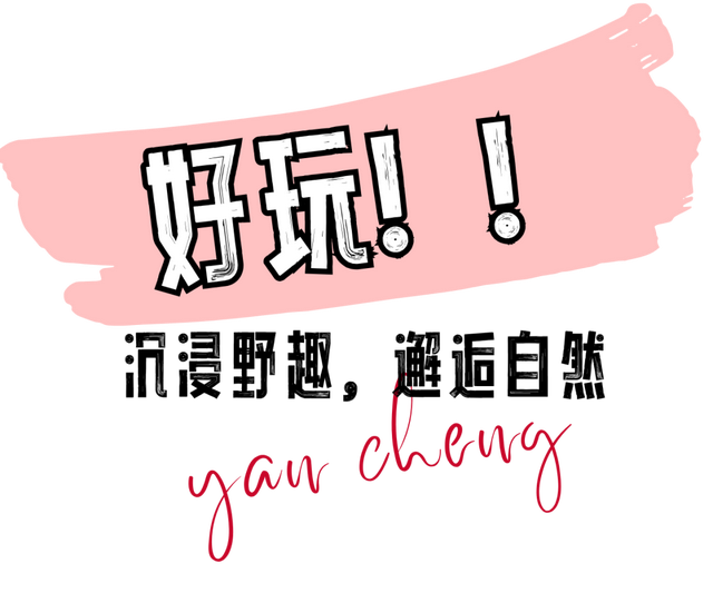 分身乏术！在盐城，5天根本玩不过来！