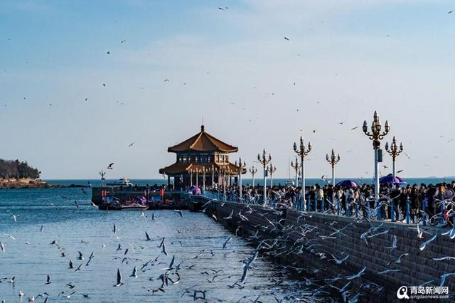 发力甜蜜经济！助力青岛跃升浪漫婚礼目的地“新标杆”