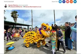 新西兰人口普查数据公布：近半数华裔从事管理或专业岗位图片