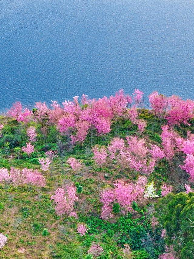山水醒了，人醉了——有一种叫云南的生活之365天
