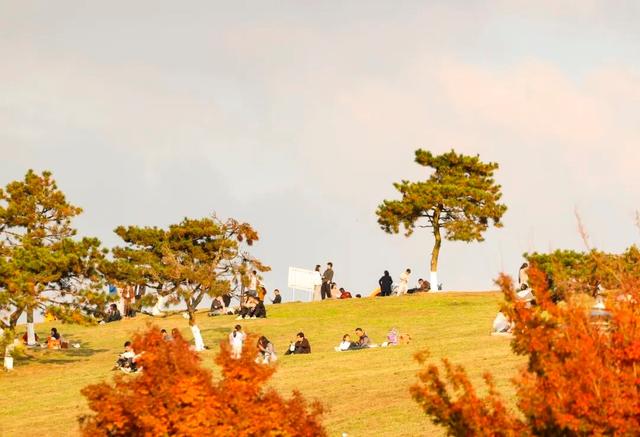 这含“金”量，不摆啦！贵阳的秋天，谁懂？