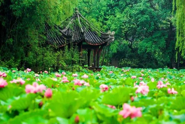 五折！免费！10大A级景区世运专属福利就宠你！