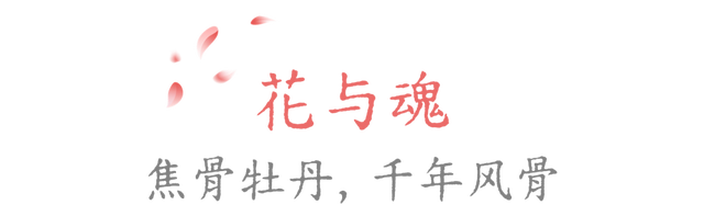 没有一朵花瓣能飘出洛阳