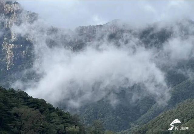 组图丨泰山秋韵：当云海吻过山林 是独属于十月的浪漫