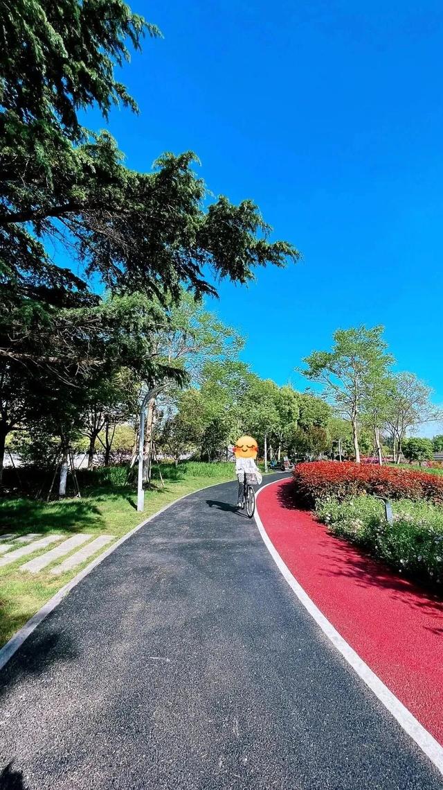 四季流转，青浦这座公园的颜值从来不掉线！