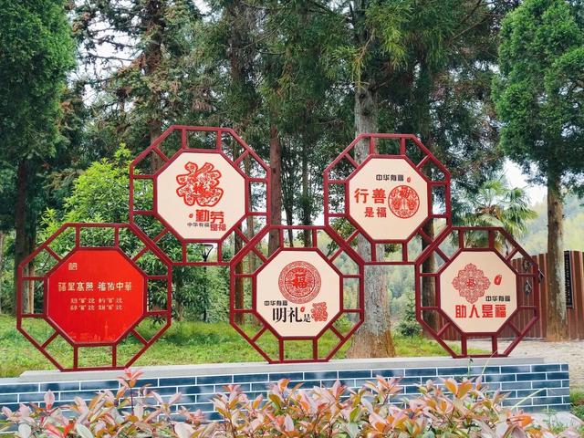 秋日citywalk新选！湖源乡柳杉公园：竹林深处的“慢时光”，专治城市焦虑