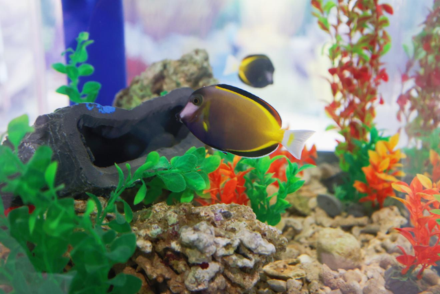 快预约！1月22日起，河南省科技馆能“深海”探险！