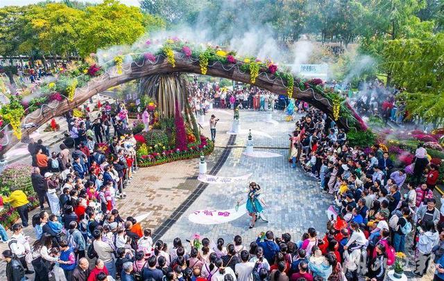 现场火爆！武汉今秋最大花展开幕