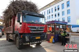 2024/2025年榨季逾54万吨甘蔗从云南临沧中缅边境入境图片