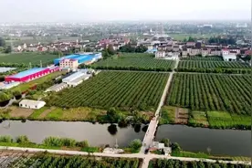 描绘“靖善靖美，江水田园”新画卷,靖江争当全国乡村振兴县域排头兵图片