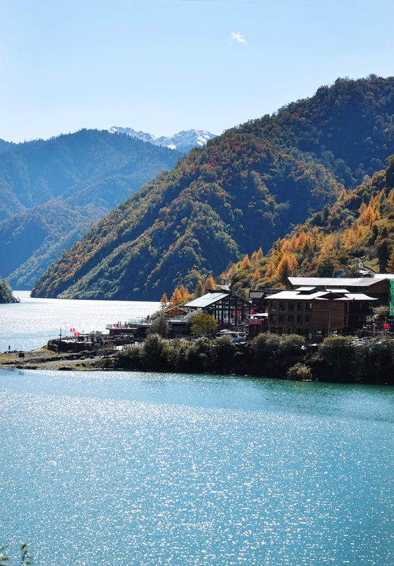 青睐绵阳 ‖ 红透了！周末去平武，沿着“百里彩林走廊”看一场雪山彩林“大片”~