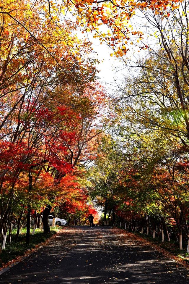 此时此刻，最美的栖霞山！