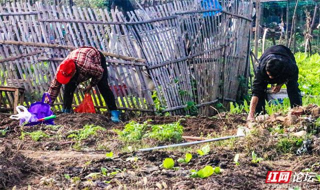 秋游时刻丨这片潇水边的沃土，才是秋天最不该错过的风景