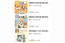 “智商税”还是“情感消费”？宠物沟通师称能和猫狗对话，每单收费数百元图片