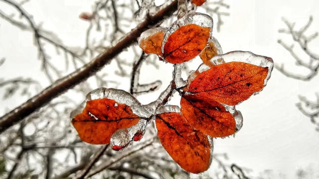 冬至丨解锁桂林的多彩冬天！