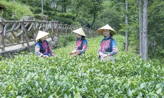 太是那个了！谭维维和丁真去过的九龙真的不一般