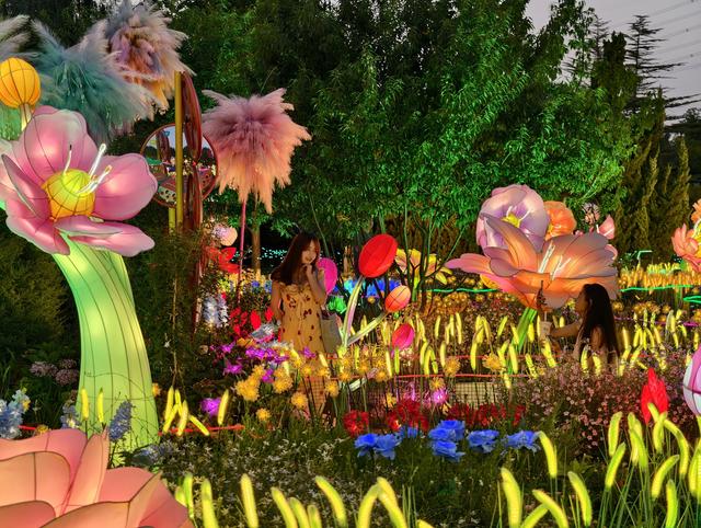 世界花卉大观园“蘑幻夜花园”点亮京城夏夜