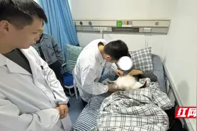 株洲市人民医院微创技术成功为高龄胆道结石患者解除病痛图片