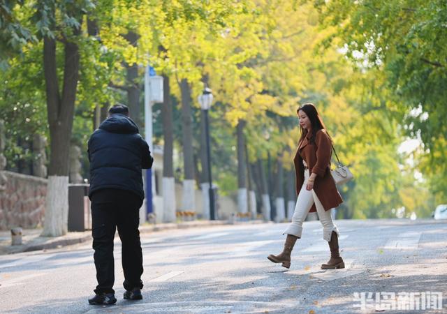 太平角银杏抢“鲜”黄！