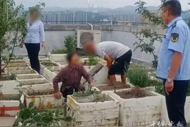 业主在楼顶干这事儿，楼下遭殃！十堰多部门出动图片