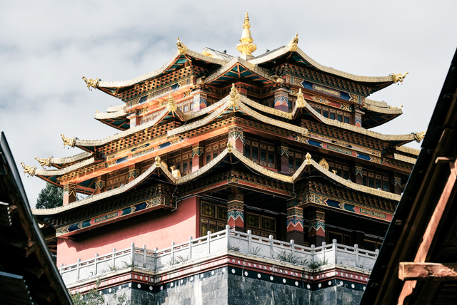 致阿靖的回信……