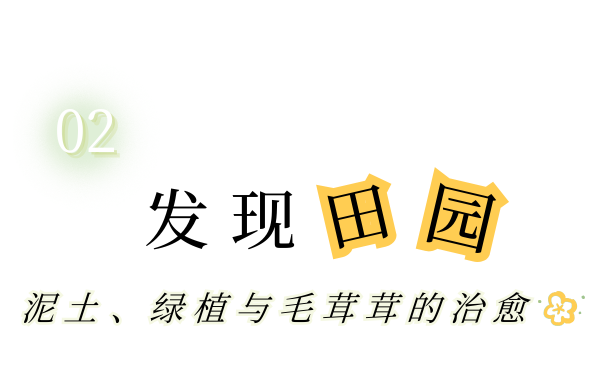 打卡乡野丨当云朵“坠”入窗沿，我在魔都近郊找到了现实版“归园田居”