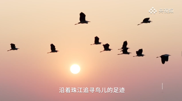 《珠江》里，藏着这么多广州海珠“宝藏”