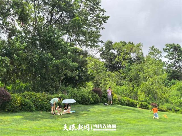 【不一样的生态游】23℃的森林间，藏着树屋下的魔法奇遇