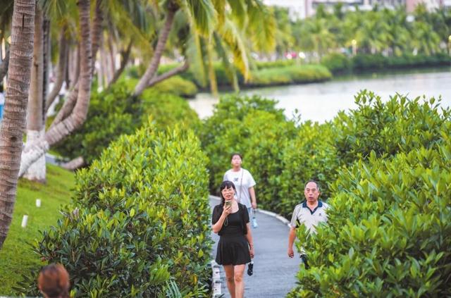 从艺术周到口袋公园，解码海口的“幸福基因”