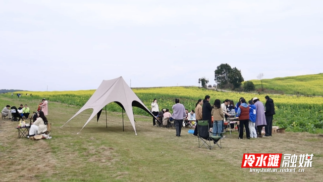 永州冷水滩：油菜花开美如画 春日盛景引客来