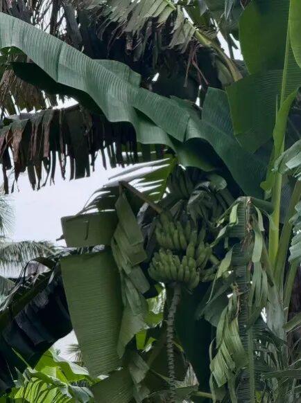 三亚县城，新晋「穷鬼度假」天堂？