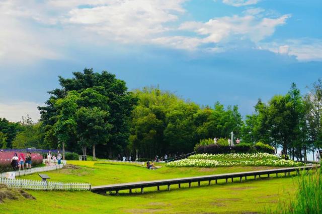 大理最治愈的129公里：这个夏天，在洱海边找到生活的解药