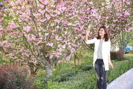 春天来泰山区，这份赏花攻略一定要收好！图片