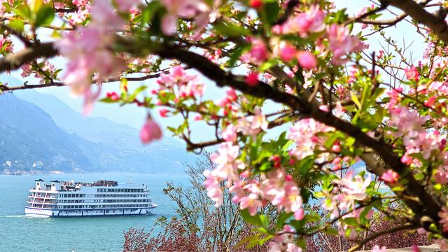 春光明媚赏花时#