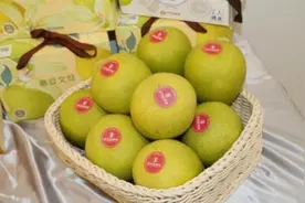 台湾没有“文旦”的说法？“大陆用语纠察队”别太离谱图片