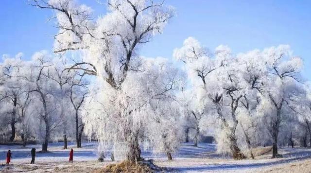 错过等一年！这个冬天，来辽宁“出溜”一圈！