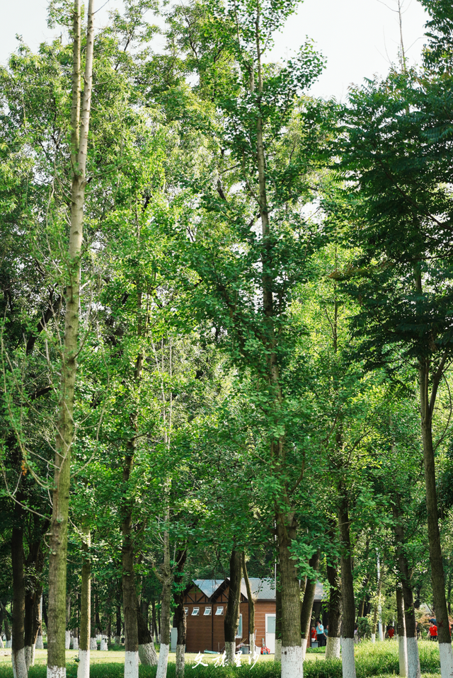 周末放晴！来长沙县这些地方“撒欢”吧！