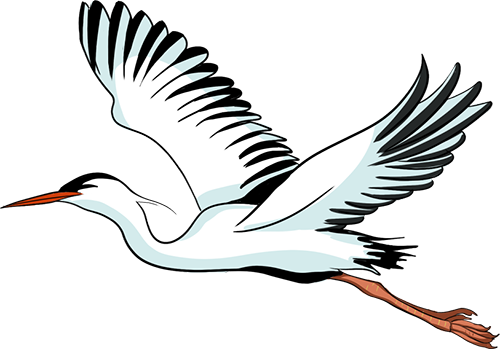 运城九大观鸟胜地邀你共赴冬日童话～